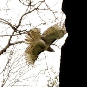 Meet your Posher, Fred